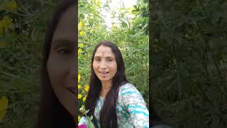 bollywood song music bollywoodsongs flowers like comment Lkarki [upl. by Scholem556]