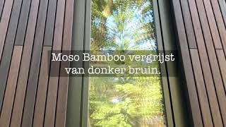 Hoe vergrijst Moso Bamboo Varibo [upl. by Yeslaehc]