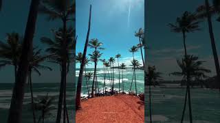 🌊 Discover the Beauty of Mirissa Sri Lanka 🐬 youtubeshorts shortsvideo mirissabeach [upl. by Dombrowski]