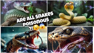 Are all Snakes Poisonous 😧What Snakes are not How to Identify them [upl. by Alejandro268]