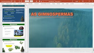 Slides Gimnospermas Aula completa em PPTX [upl. by Ahmar324]