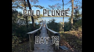 Cold Plunge for Preorders Day 12 [upl. by Noevart]