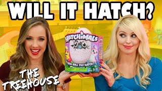 Hatchimals and Harley Quinn on The Treehouse Show from Totally TV [upl. by Ardnuhsal]