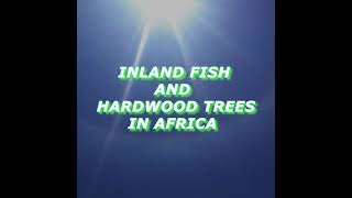 SOCIAL STUDIES SONGS ON INLAND FISH AND HARDWOOD TREES IN AFRICA FOR CBC GRADE 56 and 7 [upl. by Yelssew]