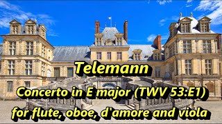 Telemann「Concerto in E major for flute oboe damore and viola」（ TWV 53 E1） フォンテーヌブロー宮殿 [upl. by Crane729]