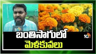 Techniques in Marigold Flower Farming  బంతి సాగులో మెళకువలు  Matti Manishi  10TV News [upl. by Lesde151]