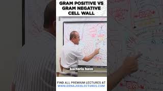 Gram Positive vs Gram Negative Cell Wall drnajeeb drnajeeblectures bacterialcellwall [upl. by Aretta108]