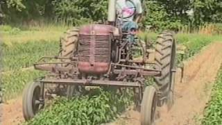 Custom Cultivator for Plastic Edges from Vegetable Farmers and their Weed Control Machines [upl. by Giorgia]