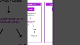 SCHILLING TEST  PATHOLOGY RAPID REVISION [upl. by Yehtomit]