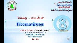 Lect 8 Picornaviruses [upl. by Newol]