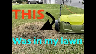 Dethatch your lawn DIY [upl. by Yekcir944]