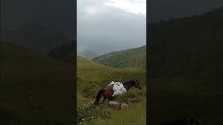 Kazbegi Mountains 🇬🇪 georgia travel nature mountains hiking [upl. by Yrahca366]