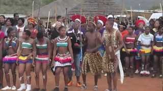 Isandlwana wedding [upl. by Atinauj]