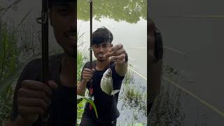 হুইল ছিপ দিয়ে কতগুলো মাছ ধরলাম 🐟🎣149 fishing hook video  local fishing video  bengali fishing [upl. by Hirai]