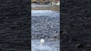 river Gaviota  balloon nature [upl. by Ignacio]