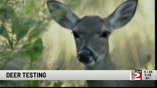 Local Hunters Asked to Help State DEC Test for Chronic Wasting Disease in Deer [upl. by Borries]