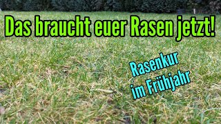 Rasen aus Winterschlaf wecken  Rasenkur im Frühjahr [upl. by Ransome]