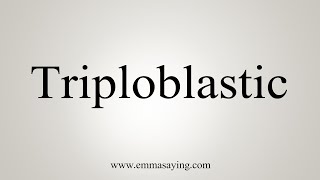 How To Say Triploblastic [upl. by Gwynne]