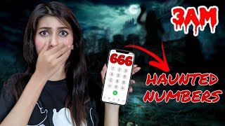 Calling HAUNTED Numbers at 3 am 😱 You Should NEVER Call  Little Miss Shree [upl. by Anniroc]