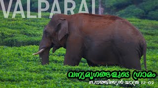 Valparai  South India Ride Ep02 l 4k [upl. by Coralie]