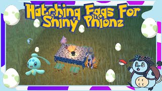 Hatching Eggs for Shiny Phione  Day 2 [upl. by Sregor]