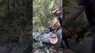 Kubota Tractor and Stihl Chainsaws best Combo for Clearing Land and Processing Firewood [upl. by Turoff]