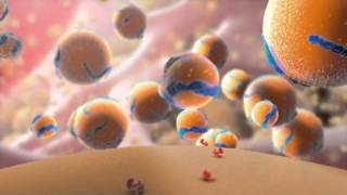 Amazing cholesterol animation from Cosmocyte [upl. by Ettennan80]