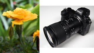 Nikon Z Auto Macro Extension Tubes [upl. by Ion360]