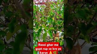 Rasoi ghar me kre gupt karye  annapurna  vastushastra  astrology  trending short video [upl. by Nogem189]