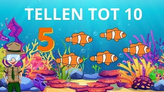 Leren Tellen Nederlands ☆ Van 1 tot 10 Leren Tellen ☆ Cijfers Leren Voor Peuters En Kleuters ☆ [upl. by Eerb412]