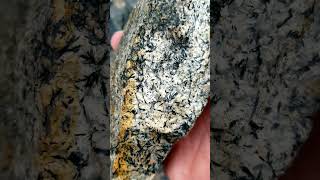 My Daily Rock 14 Mafic Metamorphic Treasures Poudre Canyon Colorado geology rockhounding [upl. by Eilra]