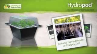 Hydropod Cuttings Propagator  For Softwood amp Hardwood Cuttings [upl. by Schweiker12]