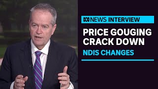 NDIS minister vows to crack down on prices offers participants greater flexibility  ABC News [upl. by Gonzales312]