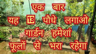 एक बार यह 13 पौधे लगाओ गार्डन हमेशां फूलों से भरा रहेगा Best permanent flower plants names [upl. by Syramad]