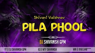 Pila Phool Raja Ga Ft Shivani Vaishnav Cg Tapori Remix Cg Dj Song 2k24 [upl. by Liddle321]