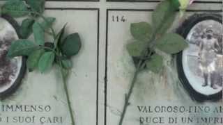 TOMBE DELLE FAMIGLIE MISSIROLI ERBA E BOCCONI AL CIMITERO MONUMENTALE DI MILANO  332012 [upl. by Ynnub721]