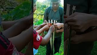 ENT 260 Insect Ecology field work please subscribe my channel 🙏🙏 [upl. by Ennaeiluj]