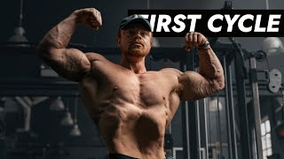 Beginner Steroid Cycles  What to take [upl. by Novak]