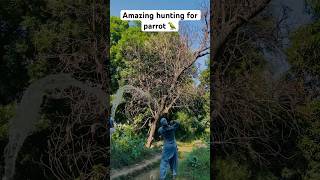 Amazing hunting for parrot 🦜 youtubeshorts villagehunter [upl. by Laurentium]