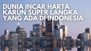 Super Bangga Indonesia Temukan Harta Karun Super Langka yang Diincar Dunia [upl. by Cadmarr963]