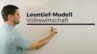 LeontiefModell Güterströme einer Volkswirtschaft Berufskolleg Wirtschaft Verwaltung [upl. by Rand566]