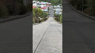 Baldwin Street  The Steepest Street in the World [upl. by Ajile]