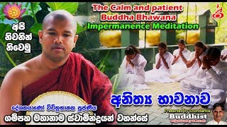 Gampaha Mahanama Swamin Wahanse  අනිත්‍ය භාවනාව  Impermanence Meditation [upl. by Andromada]