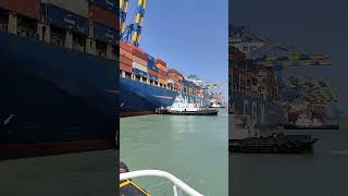 CMA CGM SHIPPING LINE UNBERTHING VIDEO 5TUG shortvideo shiplover shiplovers [upl. by Anomar501]