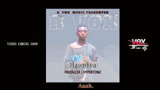 R voxSongMgombeaOfficial mp4 [upl. by Caye244]