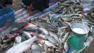 Fisheries in Lao PDR by Mekong River Commission [upl. by Akoek]