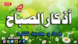 Azkar alSabah wa alMasaa  Morning and Evening Prayers  اذکار الصباح و المساء [upl. by Ahseet161]