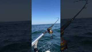 Striped bass fishing off New Jersey shore bassfishing [upl. by Palecek]