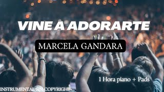 VINE A ADORARTE  MARCELA GANDARA  INSTRUMENTAL SIN COPYRIGHT [upl. by Christabel]