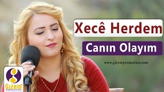 Xecê Herdem Canın Olayım Akustik [upl. by Piegari]